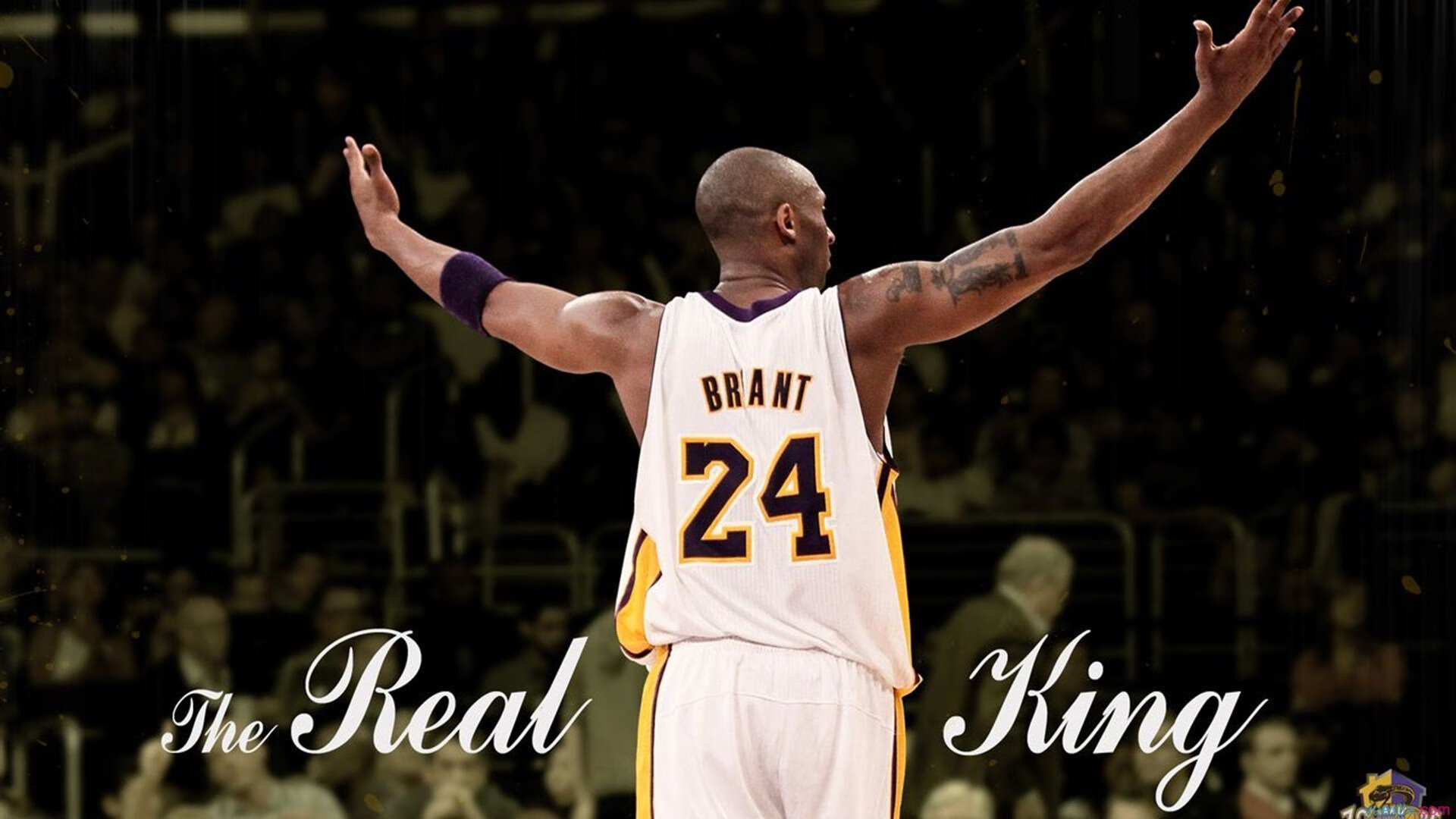 世界排名争夺战之夜，伊布用教科书表现诠释何为不朽