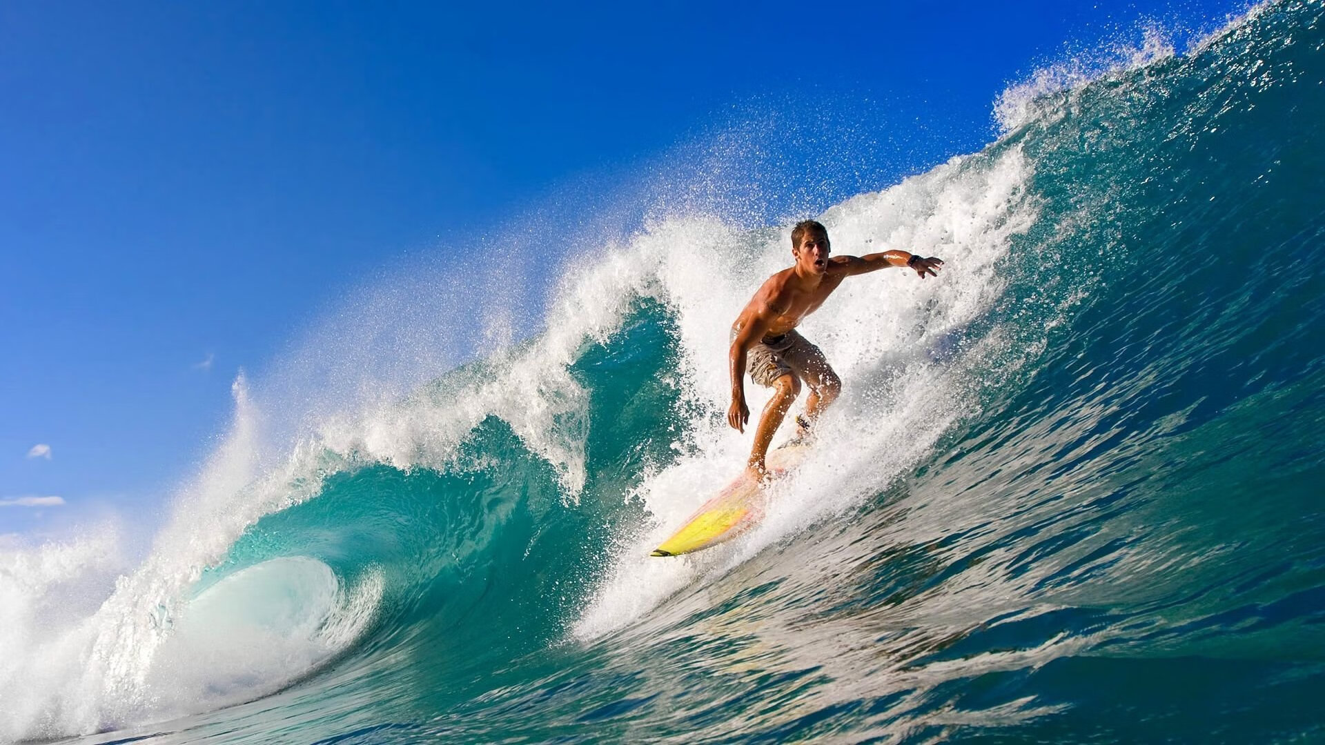 2026世界杯焦点战，魔术提前终结悬念，黄蜂黯然离场